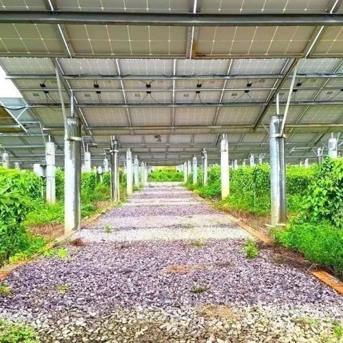 Agriculture PV System